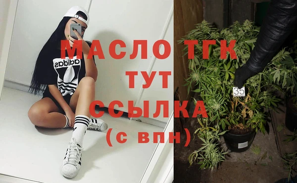 гашик Инта