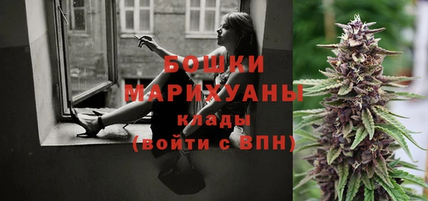 гашик Инта